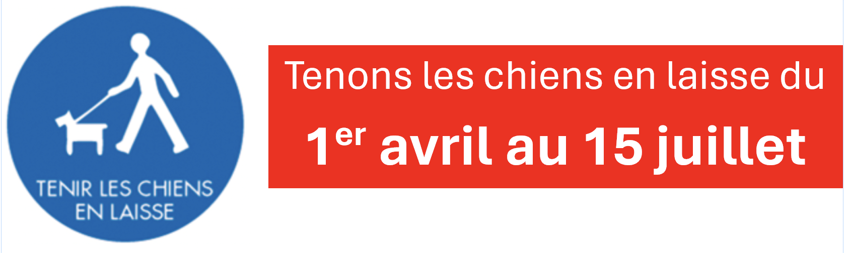 affiche-web